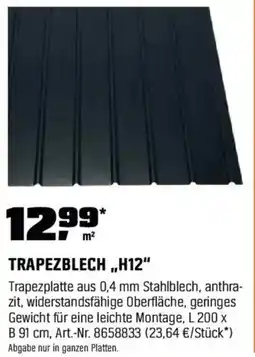 OBI TRAPEZBLECH,,H12" Angebot