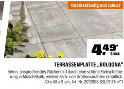 OBI TERRASSENPLATTE,,BOLOGNA" Angebot