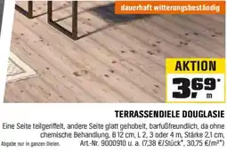 OBI TERRASSENDIELE DOUGLASIE Angebot