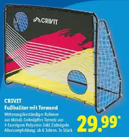 Lidl CRIVIT Fußballtor mit Torwand Angebot