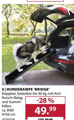 Dehner Hunderampe 'bridge' Angebot