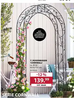 Dehner Rosenbogen 'cornwall' Angebot