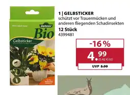 Dehner Dehner gelbsticker Angebot