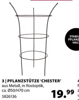 Dehner Pflanzstütze 'chester' Angebot
