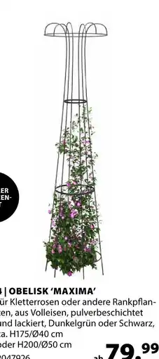 Dehner Obelisk 'maxima' h175/ø40 cm Angebot