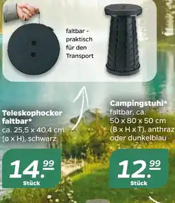 NETTO Teleskophocker faltbar Angebot