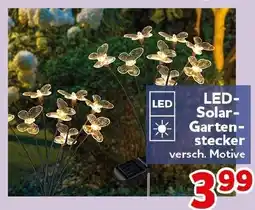CENTERSHOP LED- Solar- Gartenstecker Angebot