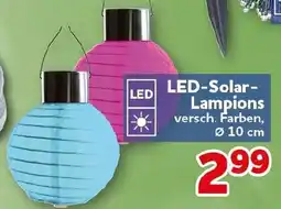 CENTERSHOP LED-Solar- Lampions Angebot
