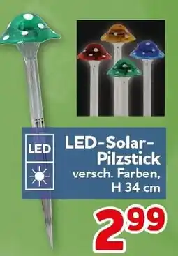 CENTERSHOP LED-Solar- Pilzstick Angebot