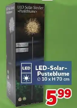 CENTERSHOP LED LED-Solar- Pusteblume Angebot