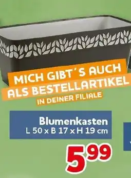 CENTERSHOP Blumenkasten Angebot
