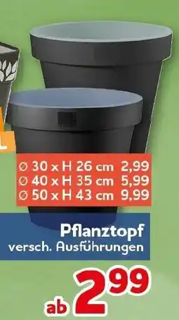 CENTERSHOP Pflanztopf Angebot
