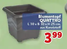 CENTERSHOP Blumentopf QUATTRO Angebot
