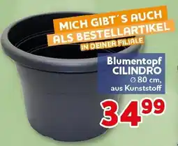 CENTERSHOP Blumentopf CILINDRO Angebot