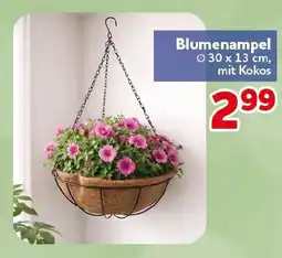 CENTERSHOP Blumenampel Angebot