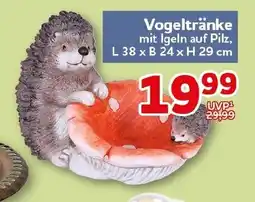 CENTERSHOP Vogeltränke Angebot