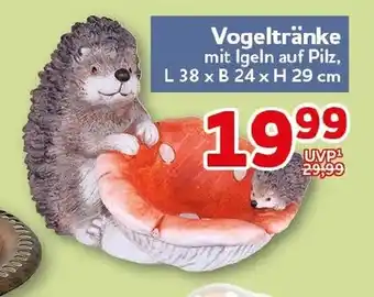 CENTERSHOP Vogeltränke Angebot