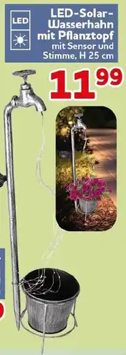 CENTERSHOP LED-Solar- Wasserhahn mit Pflanztopf Angebot
