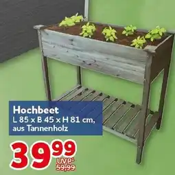 CENTERSHOP Hochbeet Angebot