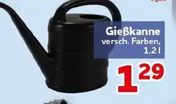 CENTERSHOP Gießkanne Angebot