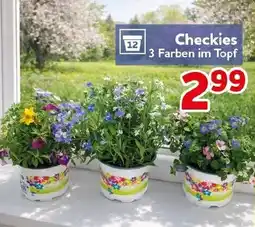 CENTERSHOP Checkies Angebot