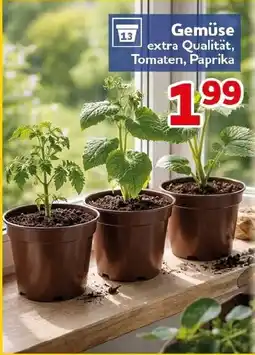 CENTERSHOP Gemüse Angebot