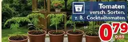 CENTERSHOP Tomaten Angebot