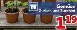 CENTERSHOP Gemüse Angebot