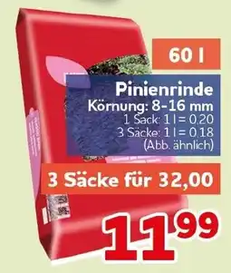 CENTERSHOP Pinienrinde Angebot
