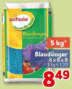 CENTERSHOP Schola Blaudünger Angebot