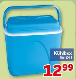 CENTERSHOP Kühlbox Angebot