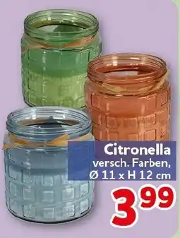 CENTERSHOP Citronella Angebot