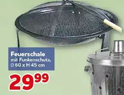 CENTERSHOP Feuerschale Angebot