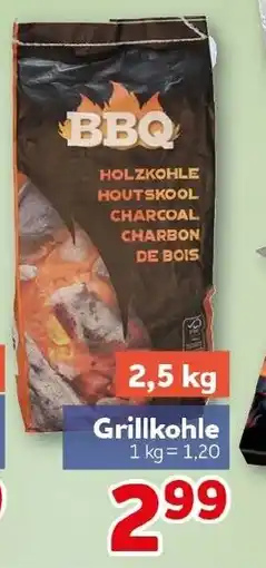 CENTERSHOP BBQ Grillkohle Angebot