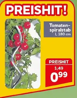 CENTERSHOP Tomaten- spiralstab Angebot