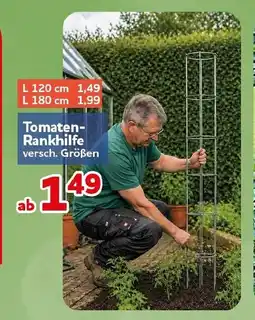 CENTERSHOP Tomaten- Rankhilfe Angebot