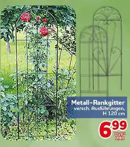 CENTERSHOP Metall-Rankgitter Angebot