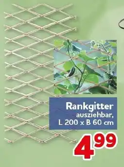 CENTERSHOP Rankgitter Angebot