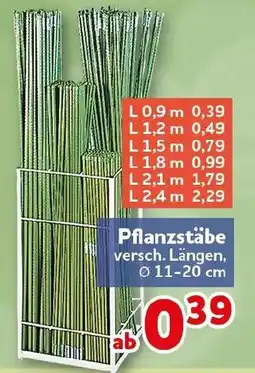 CENTERSHOP Pflanzstäbe Angebot