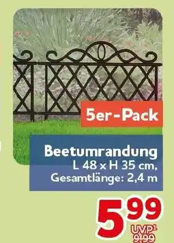 CENTERSHOP Beetumrandung Angebot