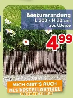 CENTERSHOP Beetumrandung Angebot