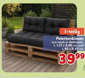 CENTERSHOP Palettenkissen Angebot