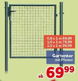 CENTERSHOP Gartentor Angebot