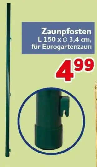 CENTERSHOP Zaunpfosten Angebot