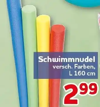 CENTERSHOP Schwimmnudel Angebot