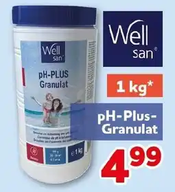 CENTERSHOP Well san PH-Plus- Granulat Angebot