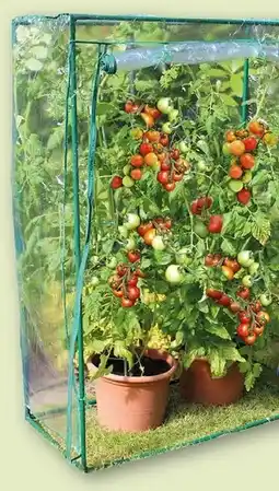 CENTERSHOP Tomaten- gewächshaus Angebot