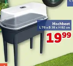 CENTERSHOP Hochbeet Angebot