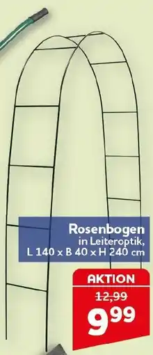 CENTERSHOP Rosenbogen Angebot