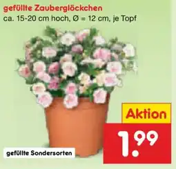 Netto Marken-Discount gefüllte Zauberglöckchen Angebot